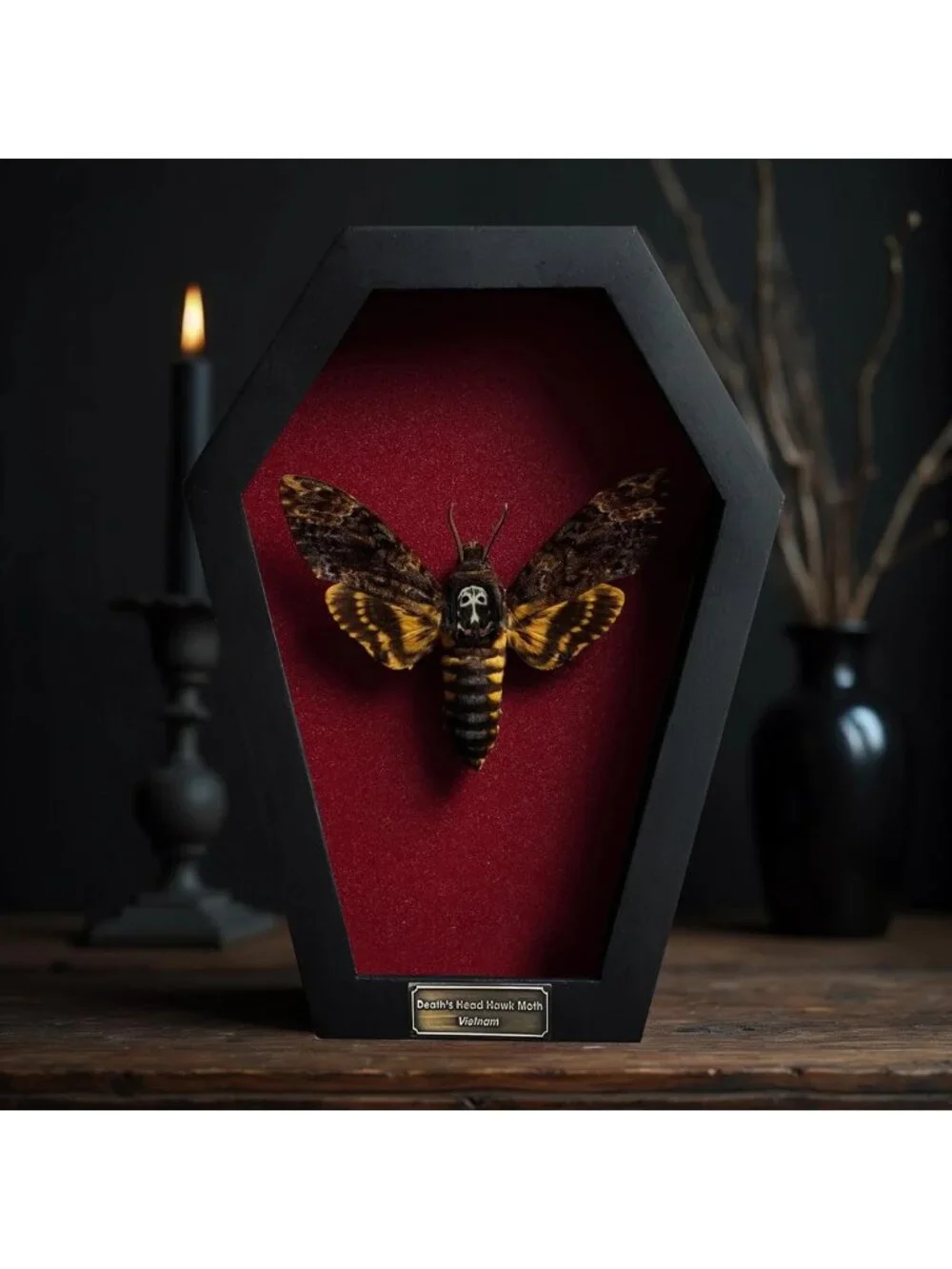 Gothic White Skull Death Head Moth Coffin Decor - Witchy Gift, 7